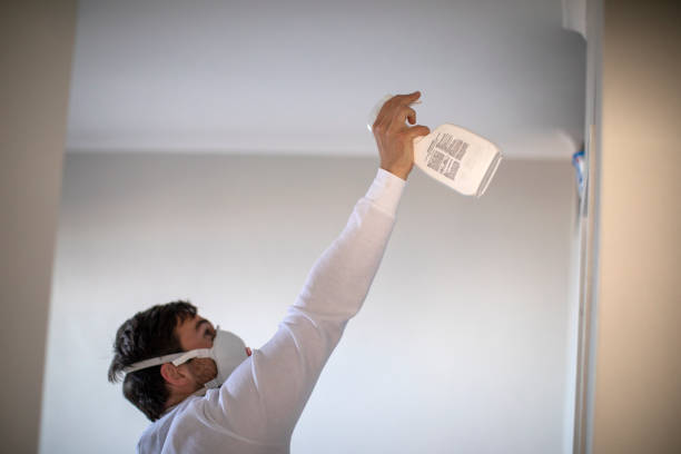 Best Mold Inspection  in Hockessin, DE