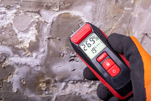 Best Mold Remediation  in Hockessin, DE